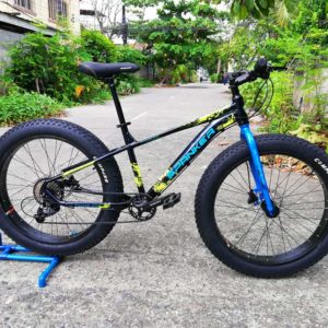 Spanker Fatbike