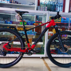 AgentX Blaster 29er